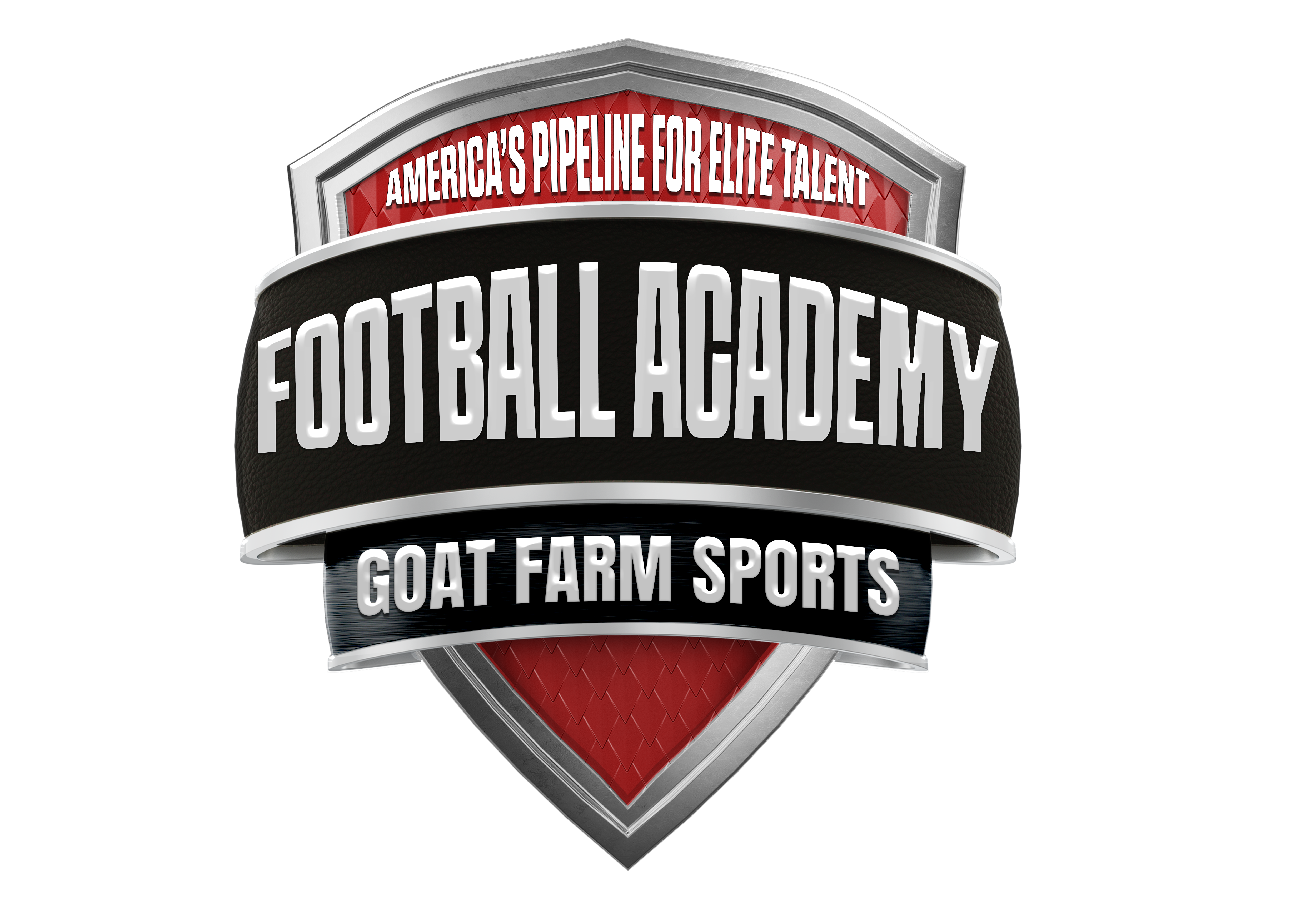 Football Academy Logo