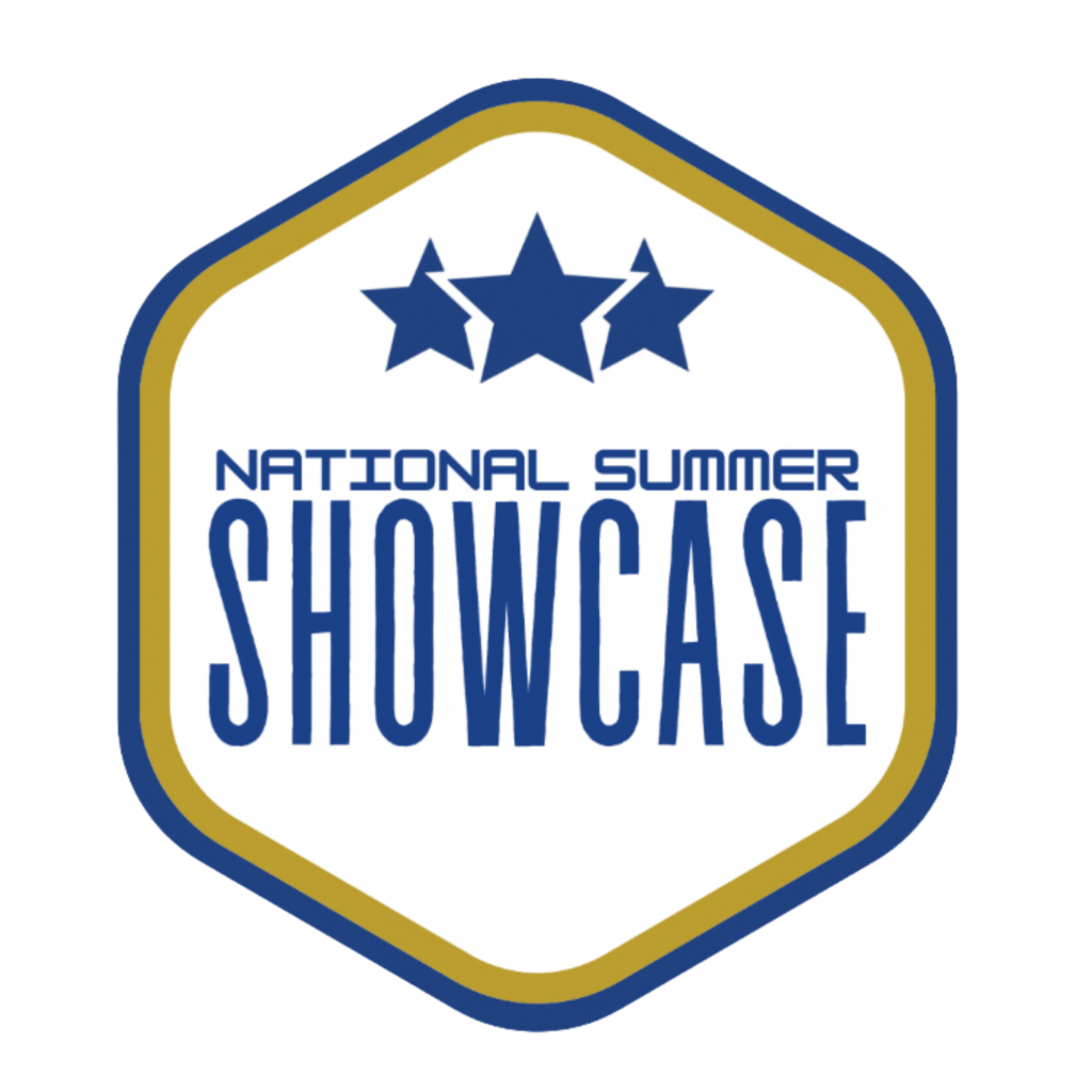 nss logo