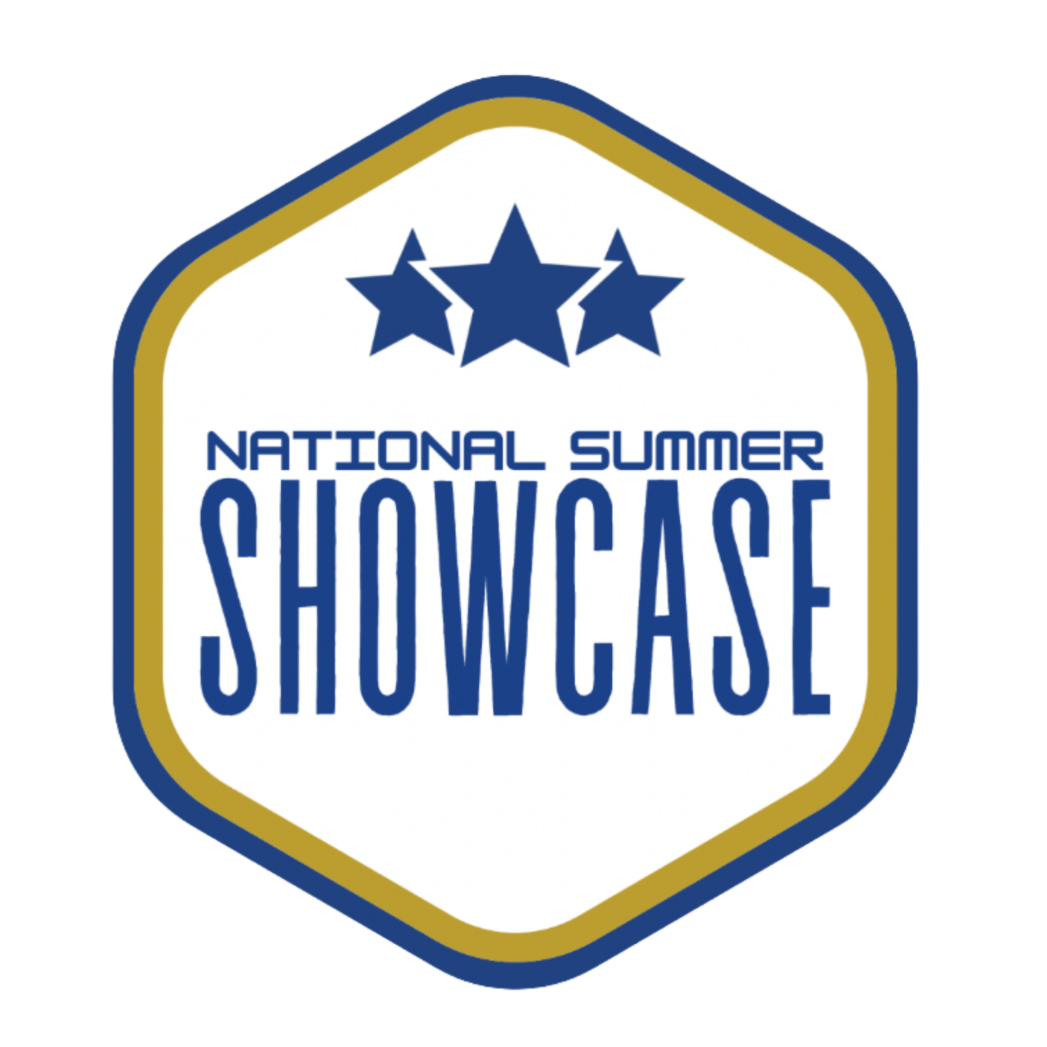 nss logo